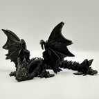 Night WIng / Light Colors