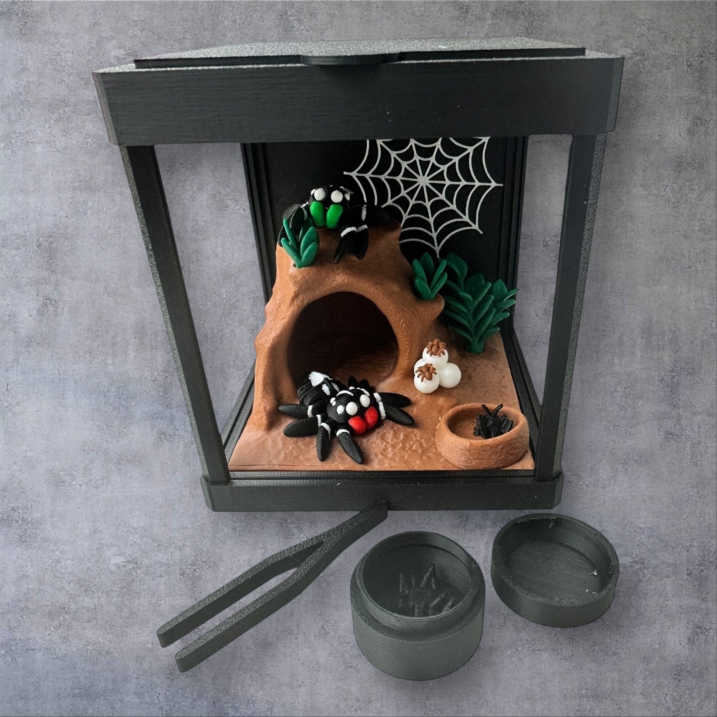 Mini Spider Arachnid Enclosure Habitat
