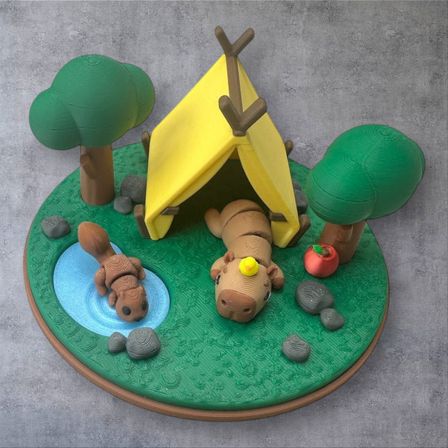 Mini Capybara Camp Habitat