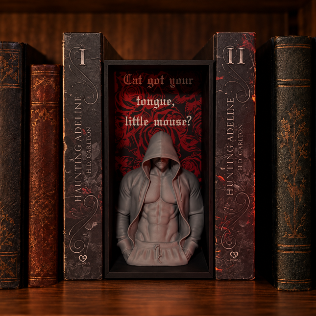Cat Got Your Tongue Book Nook