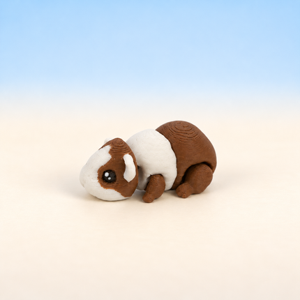 Micro Guinea Pig miniature in Brown and White, individual variant photo.