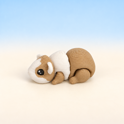 Micro Guinea Pig miniature in Tan and White, individual variant photo.