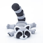 Racoon